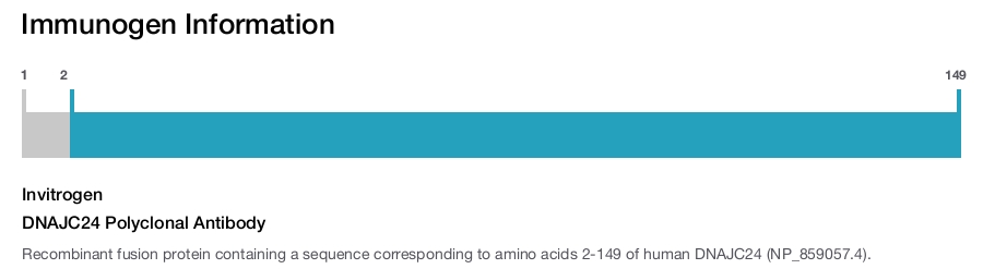 DNAJC24 Polyclonal Antibody