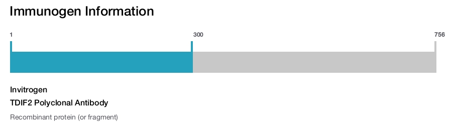 TDIF2 Polyclonal Antibody