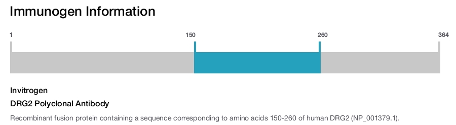 DRG2 Polyclonal Antibody