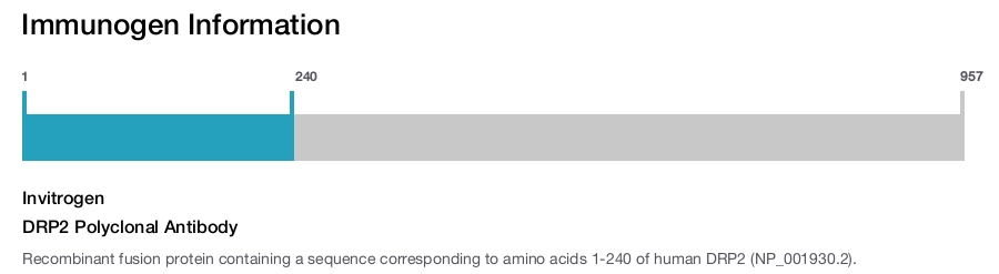 DRP2 Polyclonal Antibody