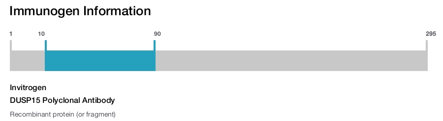 DUSP15 Polyclonal Antibody