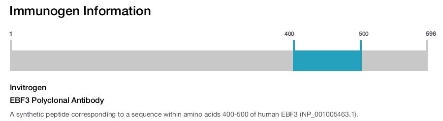 EBF3 Polyclonal Antibody