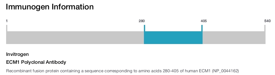 ECM1 Polyclonal Antibody