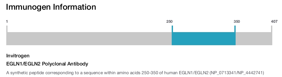EGLN1/EGLN2 Polyclonal Antibody