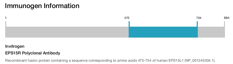 EPS15R Polyclonal Antibody