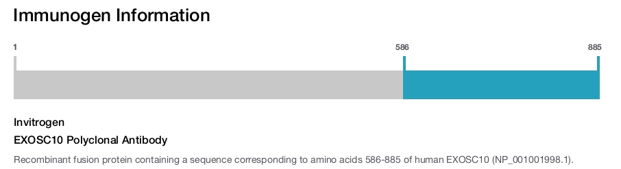 EXOSC10 Polyclonal Antibody