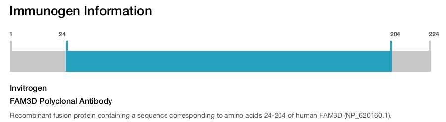 FAM3D Polyclonal Antibody