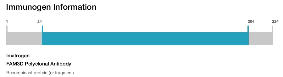 FAM3D Polyclonal Antibody