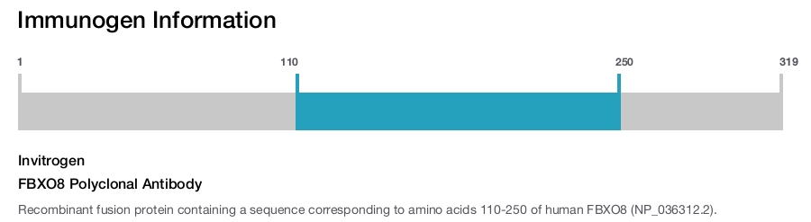 FBXO8 Polyclonal Antibody
