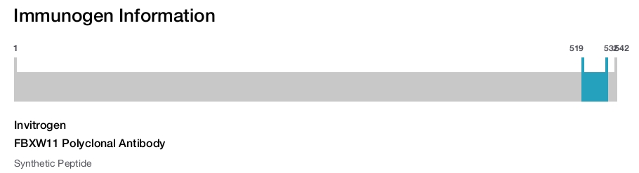 FBXW11 Polyclonal Antibody