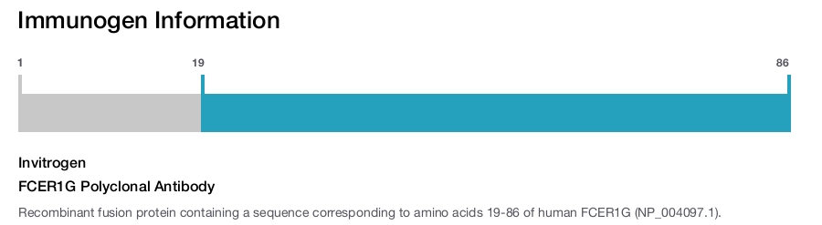 FCER1G Polyclonal Antibody