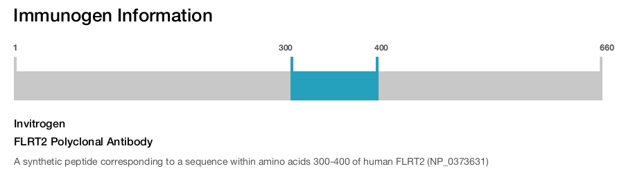 FLRT2 Polyclonal Antibody