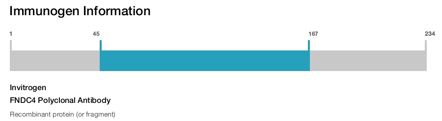 FNDC4 Polyclonal Antibody