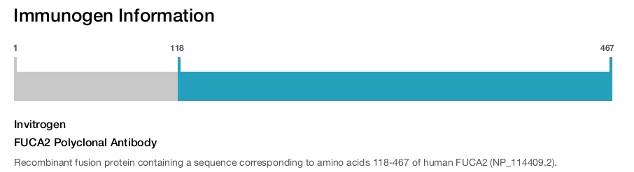 FUCA2 Polyclonal Antibody