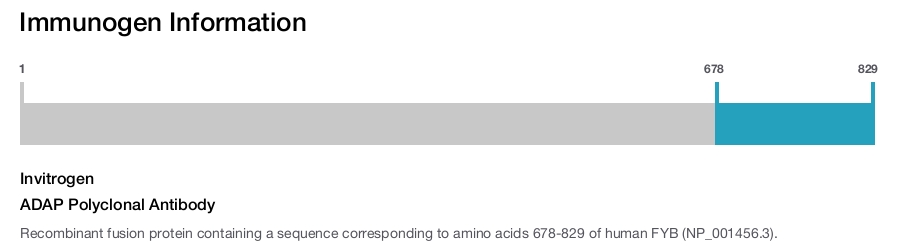 ADAP Polyclonal Antibody
