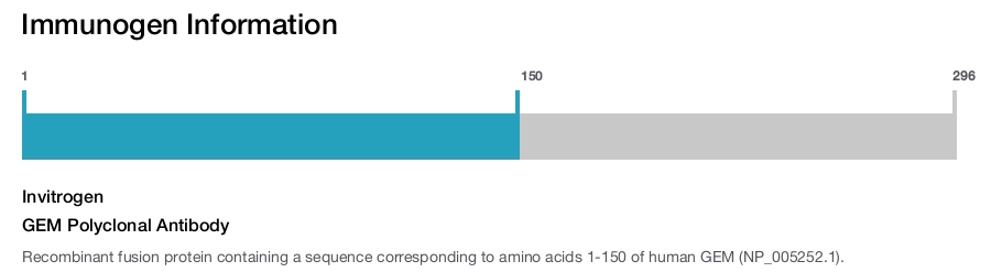 GEM Polyclonal Antibody