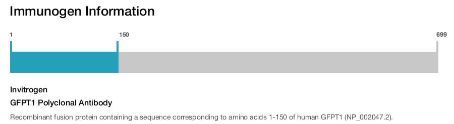 GFPT1 Polyclonal Antibody