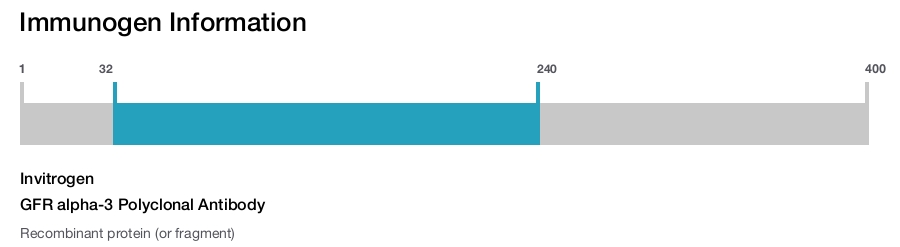 GFR alpha-3 Polyclonal Antibody