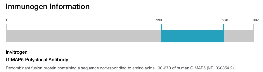 GIMAP5 Polyclonal Antibody