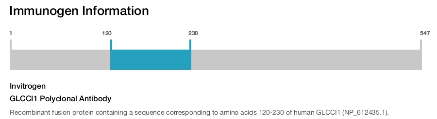 GLCCI1 Polyclonal Antibody