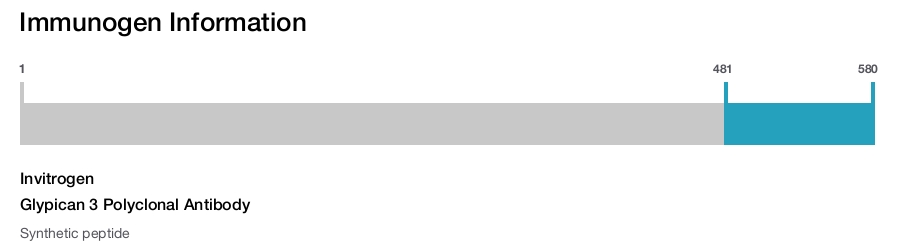 Glypican 3 Polyclonal Antibody