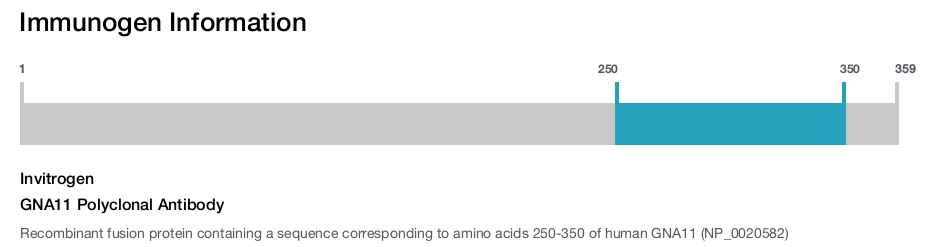 GNA11 Polyclonal Antibody