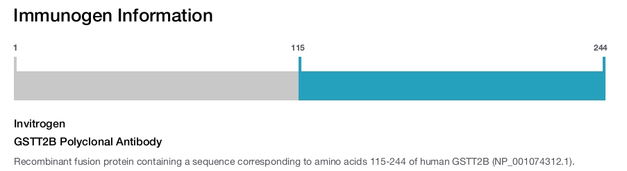 GSTT2B Polyclonal Antibody