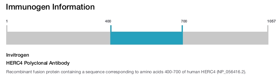 HERC4 Polyclonal Antibody