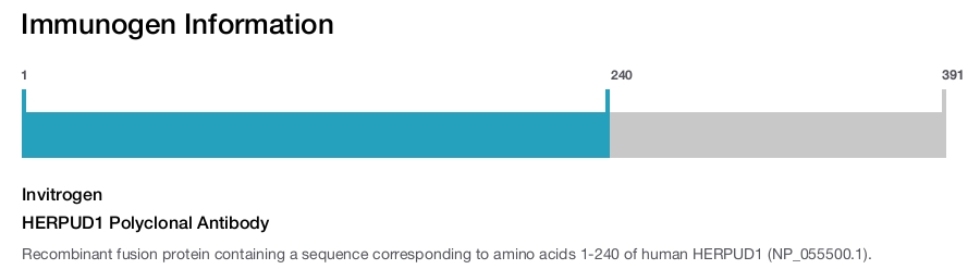 HERPUD1 Polyclonal Antibody