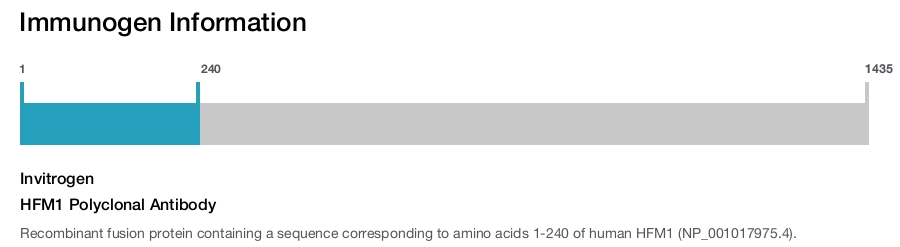 HFM1 Polyclonal Antibody