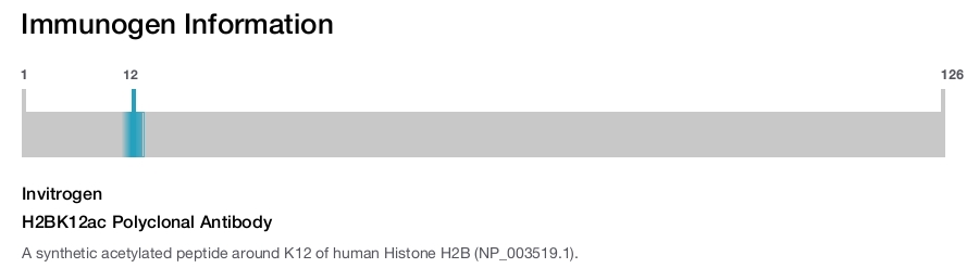 H2BK12ac Polyclonal Antibody