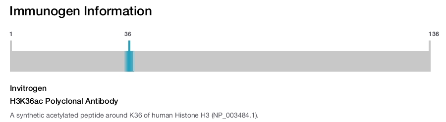 H3K36ac Polyclonal Antibody