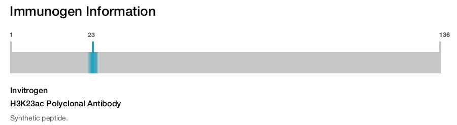 H3K23ac Polyclonal Antibody