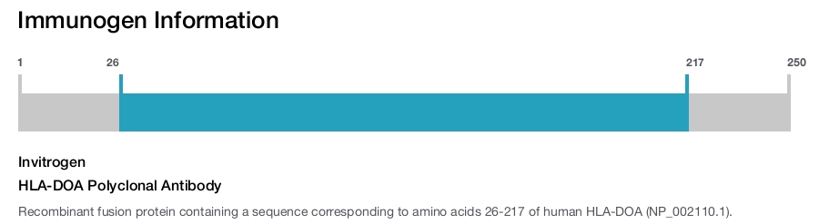HLA-DOA Polyclonal Antibody