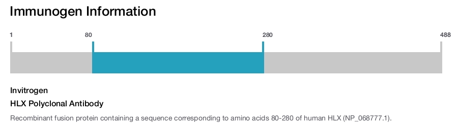 HLX Polyclonal Antibody