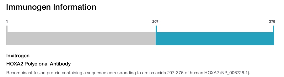 HOXA2 Polyclonal Antibody