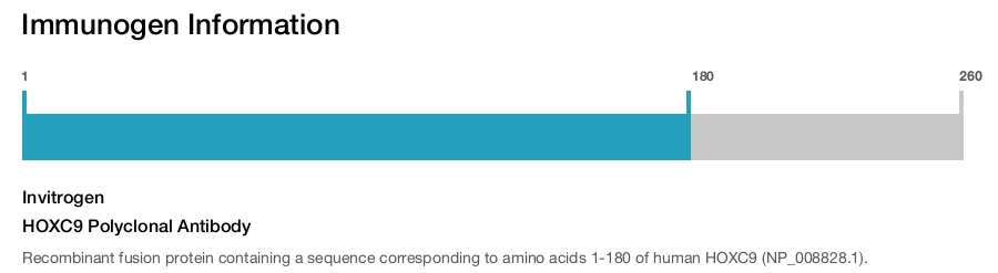 HOXC9 Polyclonal Antibody