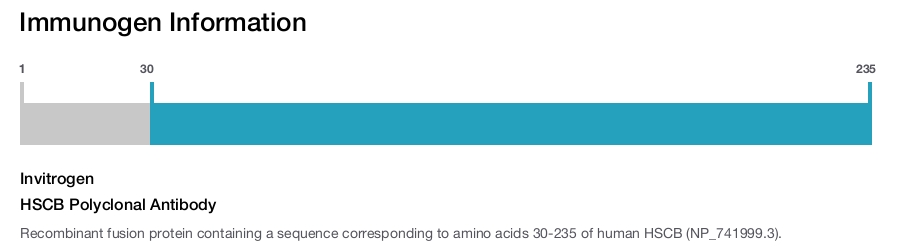 HSCB Polyclonal Antibody
