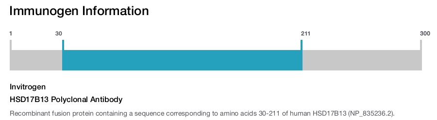 HSD17B13 Polyclonal Antibody