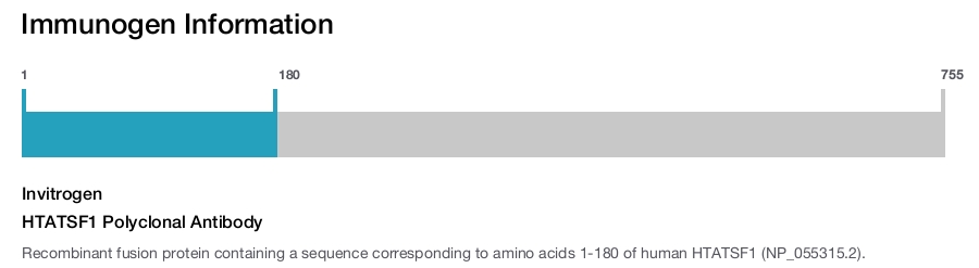 HTATSF1 Polyclonal Antibody
