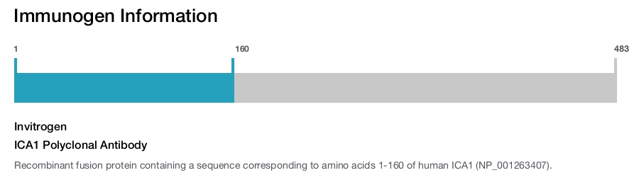ICA1 Polyclonal Antibody