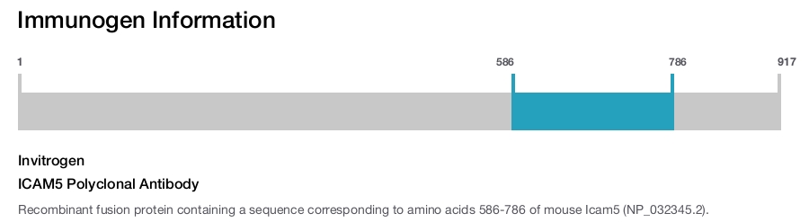 ICAM5 Polyclonal Antibody
