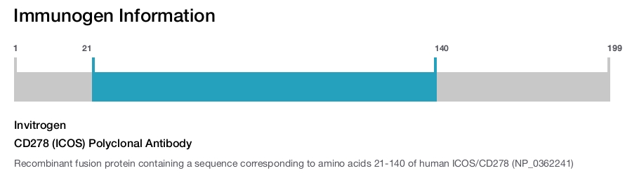 CD278 (ICOS) Polyclonal Antibody