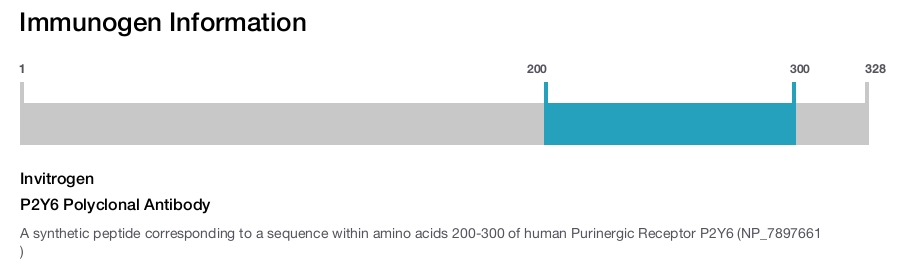 P2Y6 Polyclonal Antibody