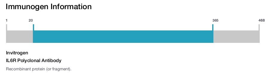 IL6R Polyclonal Antibody