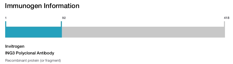ING3 Polyclonal Antibody