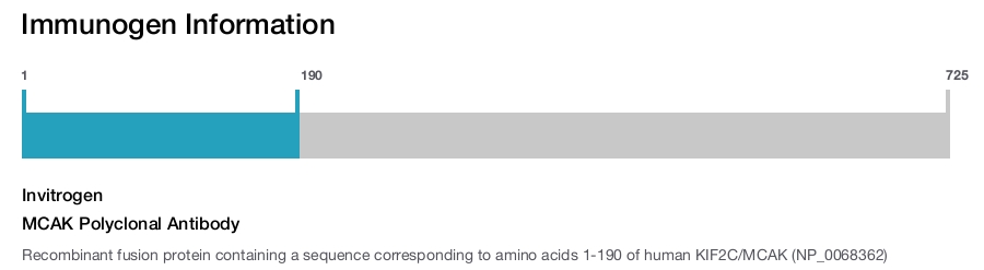 MCAK Polyclonal Antibody