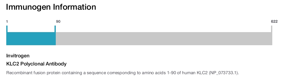 KLC2 Polyclonal Antibody