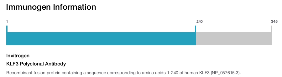 KLF3 Polyclonal Antibody