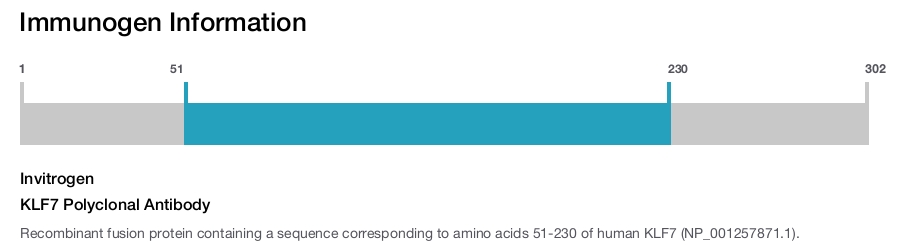 KLF7 Polyclonal Antibody
